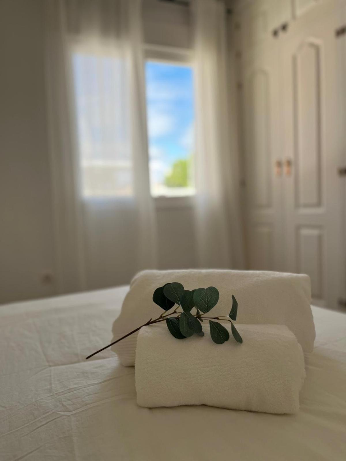 Malaga Prime Location - Stylish Apartment With Free Wifi, Free Parking, Steps From The Historic Center Exteriör bild