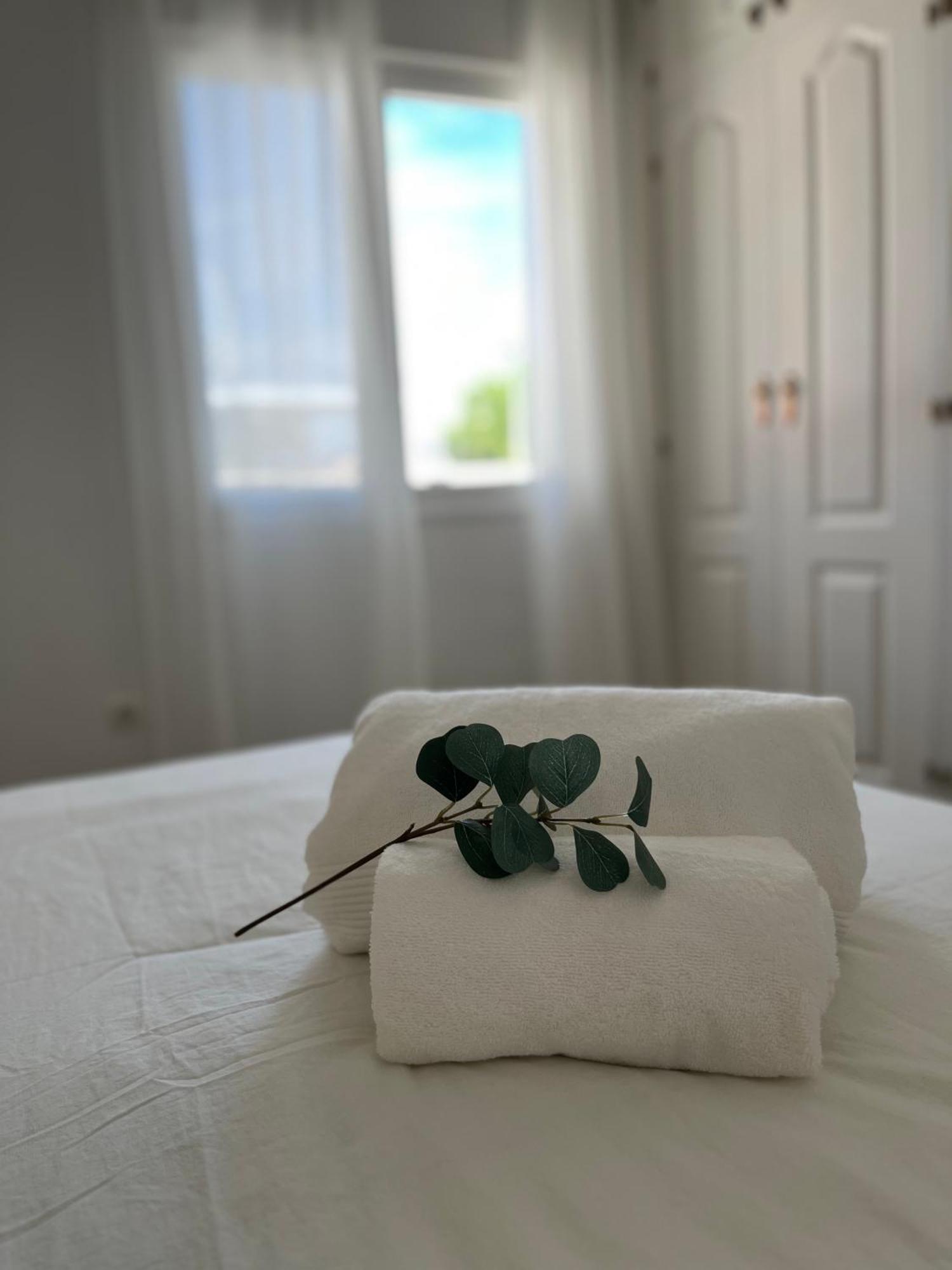 Malaga Prime Location - Stylish Apartment With Free Wifi, Free Parking, Steps From The Historic Center Exteriör bild